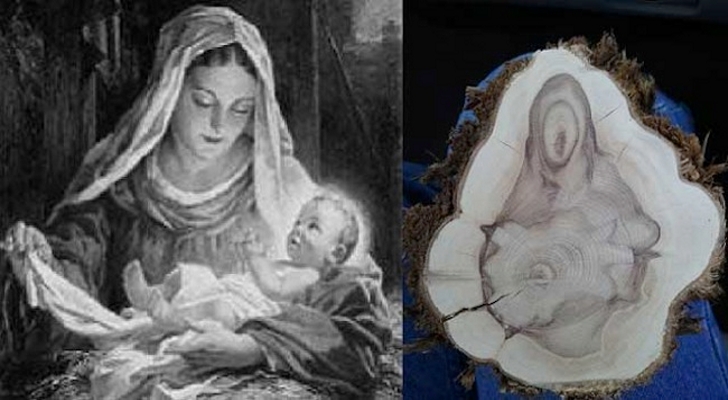 Virgin-Mary-and-Baby-Jesus-Reveal-Themselves-on-Tree-Log-2