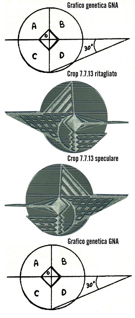 grafico GNA-crop-confronto-speculare450