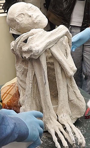 momia32Le incredibili mummie di Nazca300