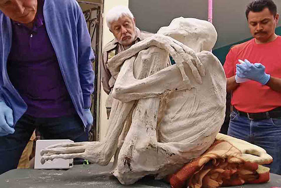 momia33Le incredibili mummie di Nazca560