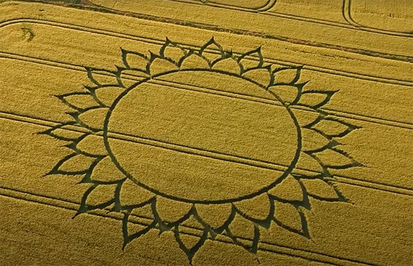 sole cerchio nel grano