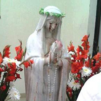 Virgen-Guadalajara200